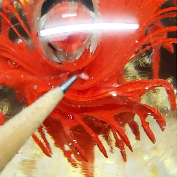 Red Volcanic Burst Eruption Jellyfish Glass Paperweight - Picture 7 of 12